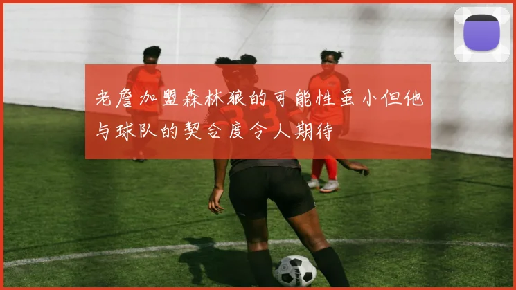 老詹加盟森林狼的可能性虽小但他与球队的契合度令人期待